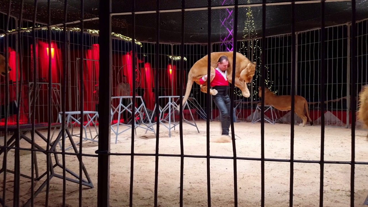 Weihnachtszirkus 25.12.2016 Villingen