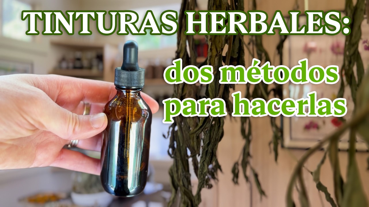 TINTURAS HERBALES: lo que nadie te explica sobre los m&eacute;todos | HERBOLARIA