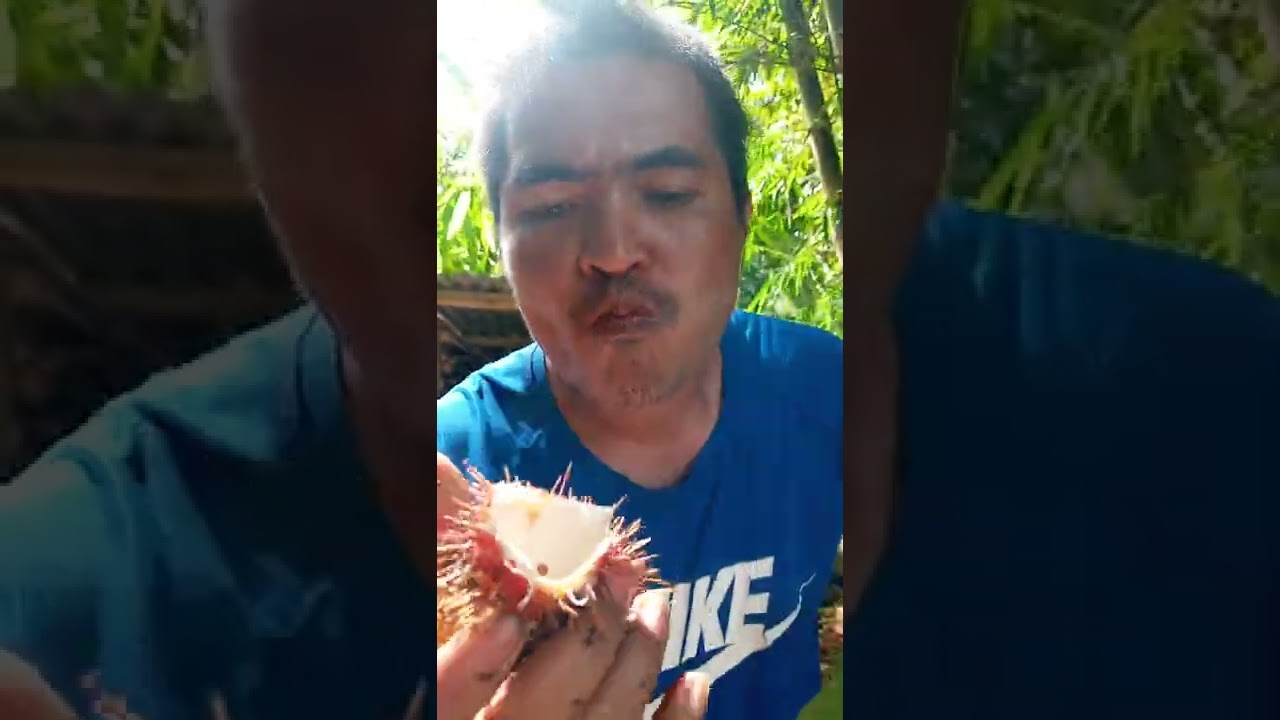 can you eat rambutan fruits with ants #philippines #shorts