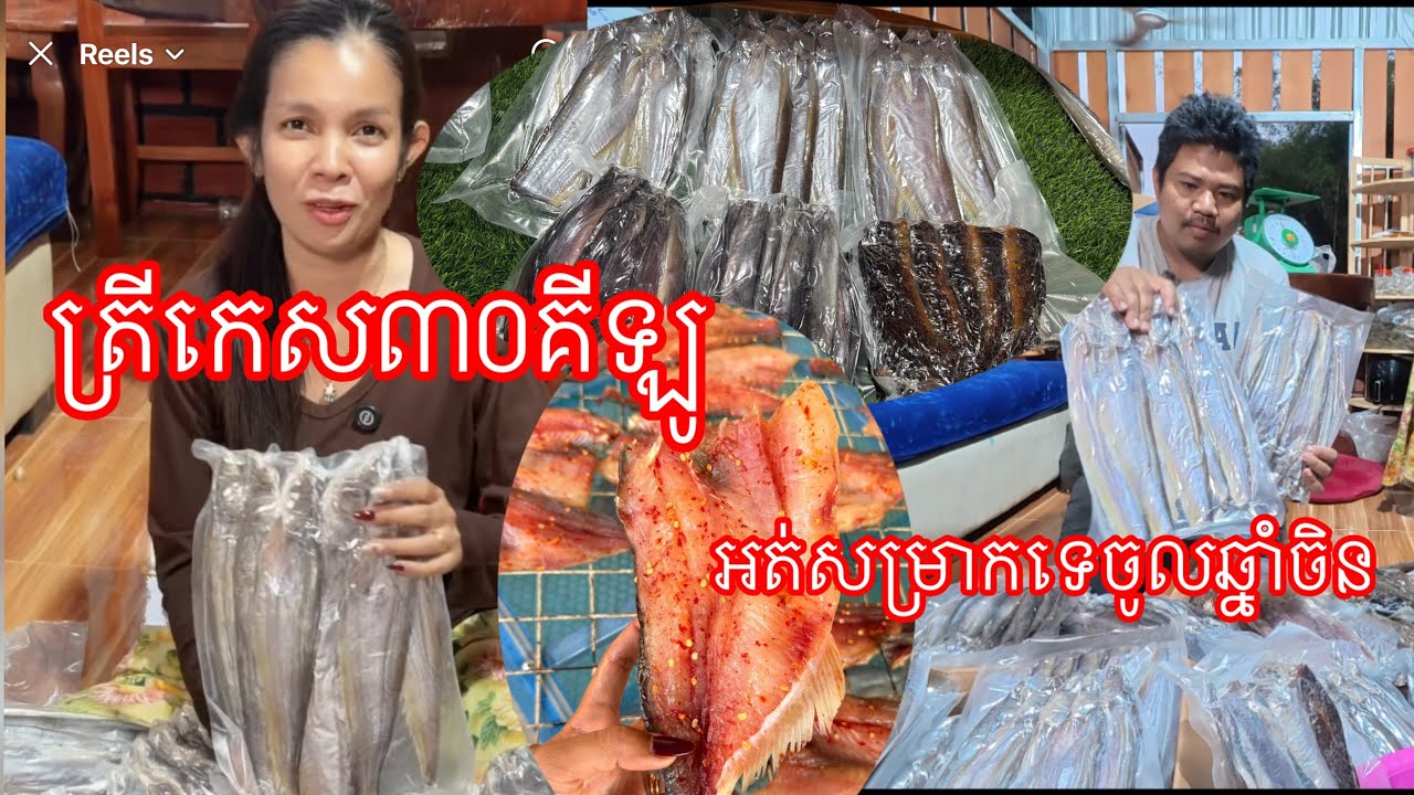 អរគុណបងប្អូនកម្មង់​ ត្រីកេស៣០គីឡូ​ មុនចូលឆ្នាំចិន​ នឹងត្រីងៀតផ្សេងៗទៀត​ ដុតអន្ទង់​ ទឹកត្រីអំពិលខ្ចី
