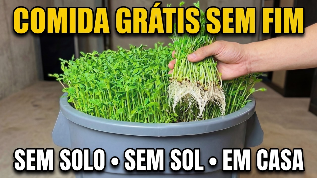 Produza Microverdes Sem Fim em um Tupperware. Sem Composto. Sem Luz Solar. Pronto em 4 Minutos