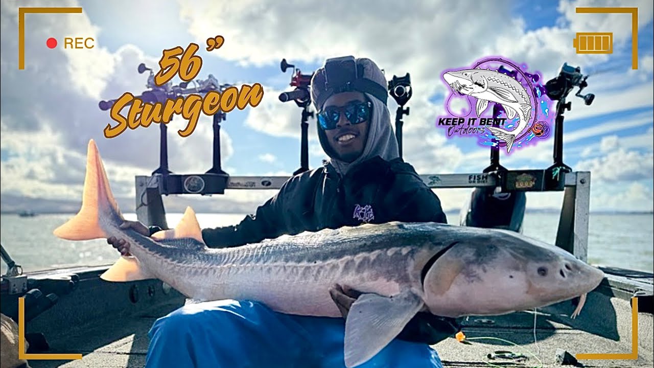 CA Delta Sturgeon Fishing | Dino Slapped The Boat!