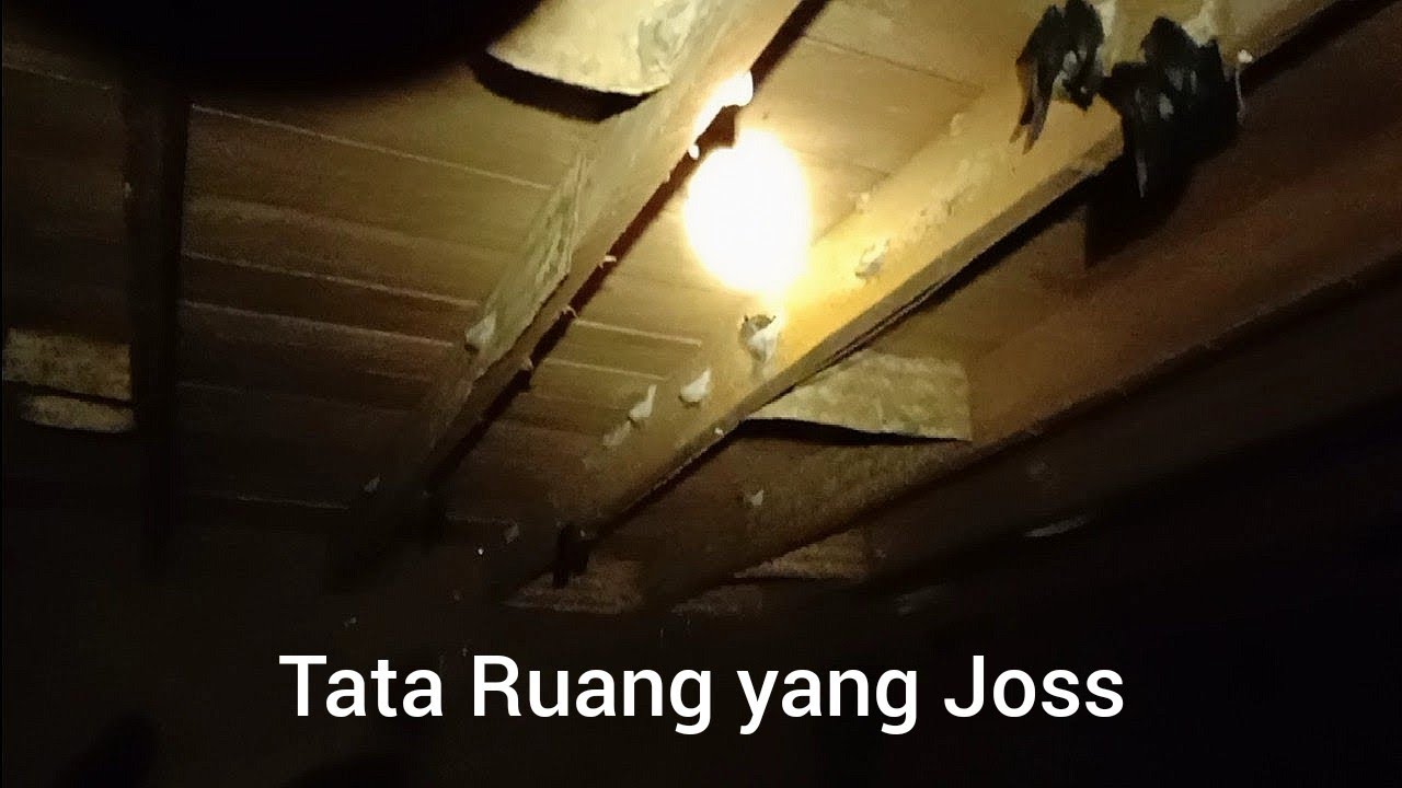 RBW 1 lantai isi nya 800 ekor