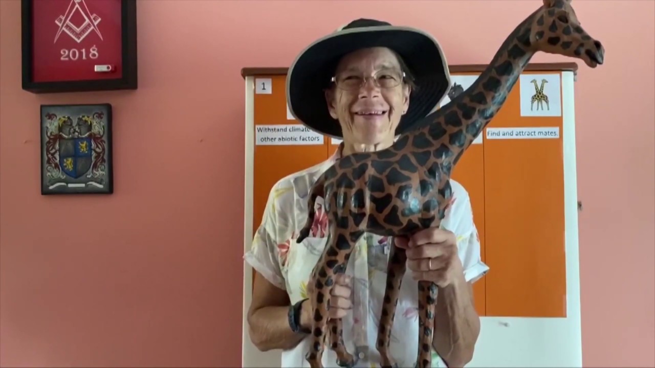 Learn at Home - Giraffe Adaptations