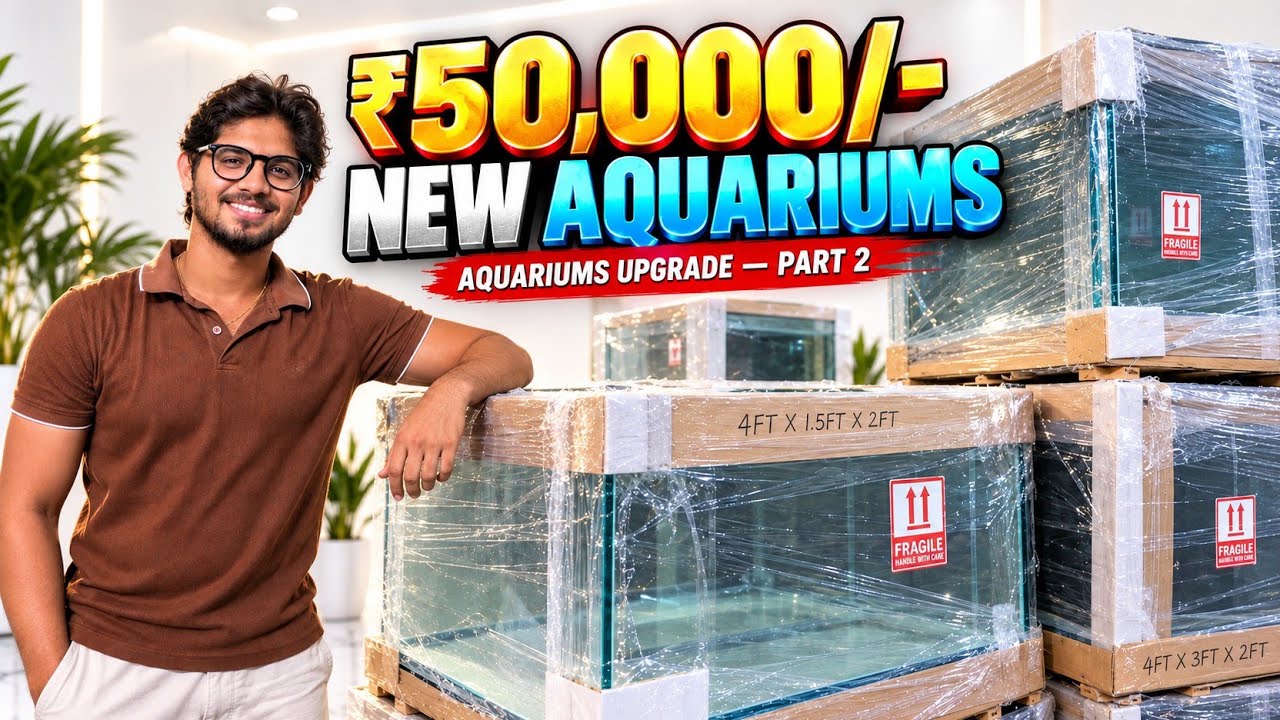 Aquariums Upgrade &ndash; Part 2 | Shifting All New Aquariums to Our House (Big Struggle🤯)