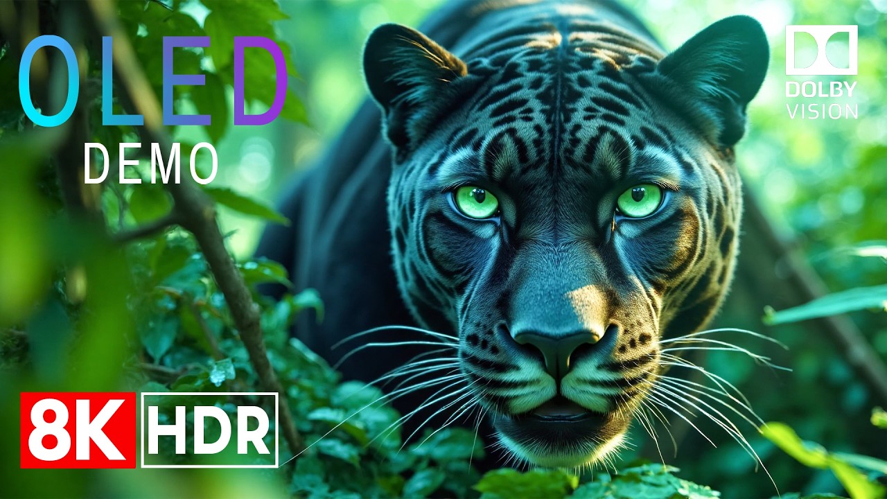 Animal Kingdom 8K HDR Dolby Vision 🦜 Breathtaking Wildlife Close-Up Cinematic By HDR Clarity