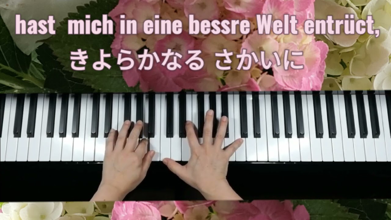 楽に寄す（シューベルト作曲 ）/An die Musik（Schubert）　　　堀内敬三 訳詞　♯ドイツ歌曲　　　　　　　《ピアノ伴奏で歌おう・歌詞付》