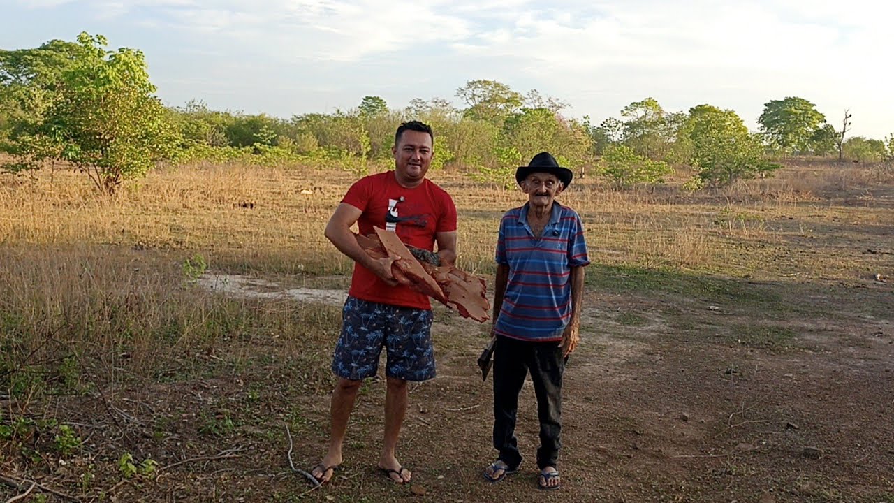 Fui com meu pai tirar casca de jatobá pra mim fazer remédio caseiro 