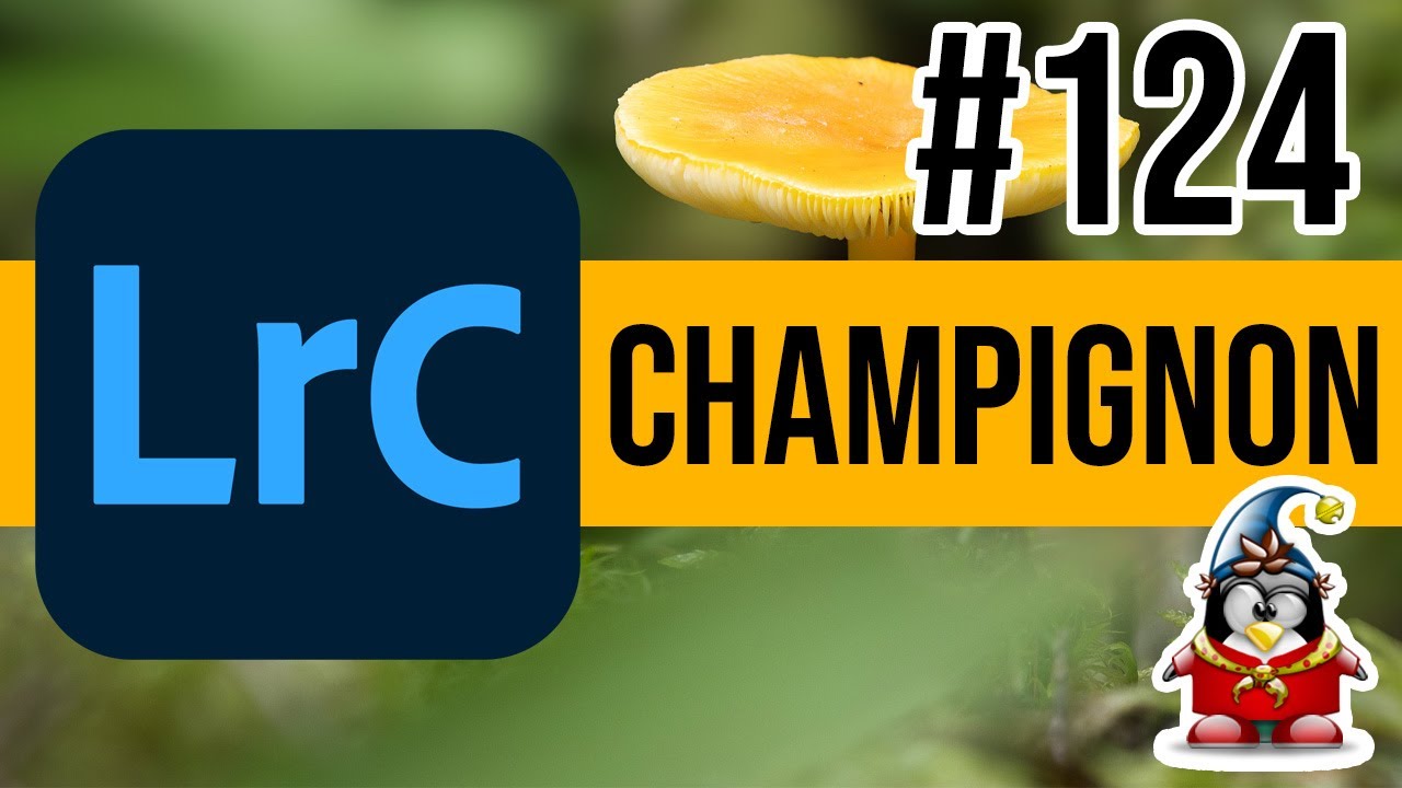 Lightroom Retouche Express 124 – Champignon