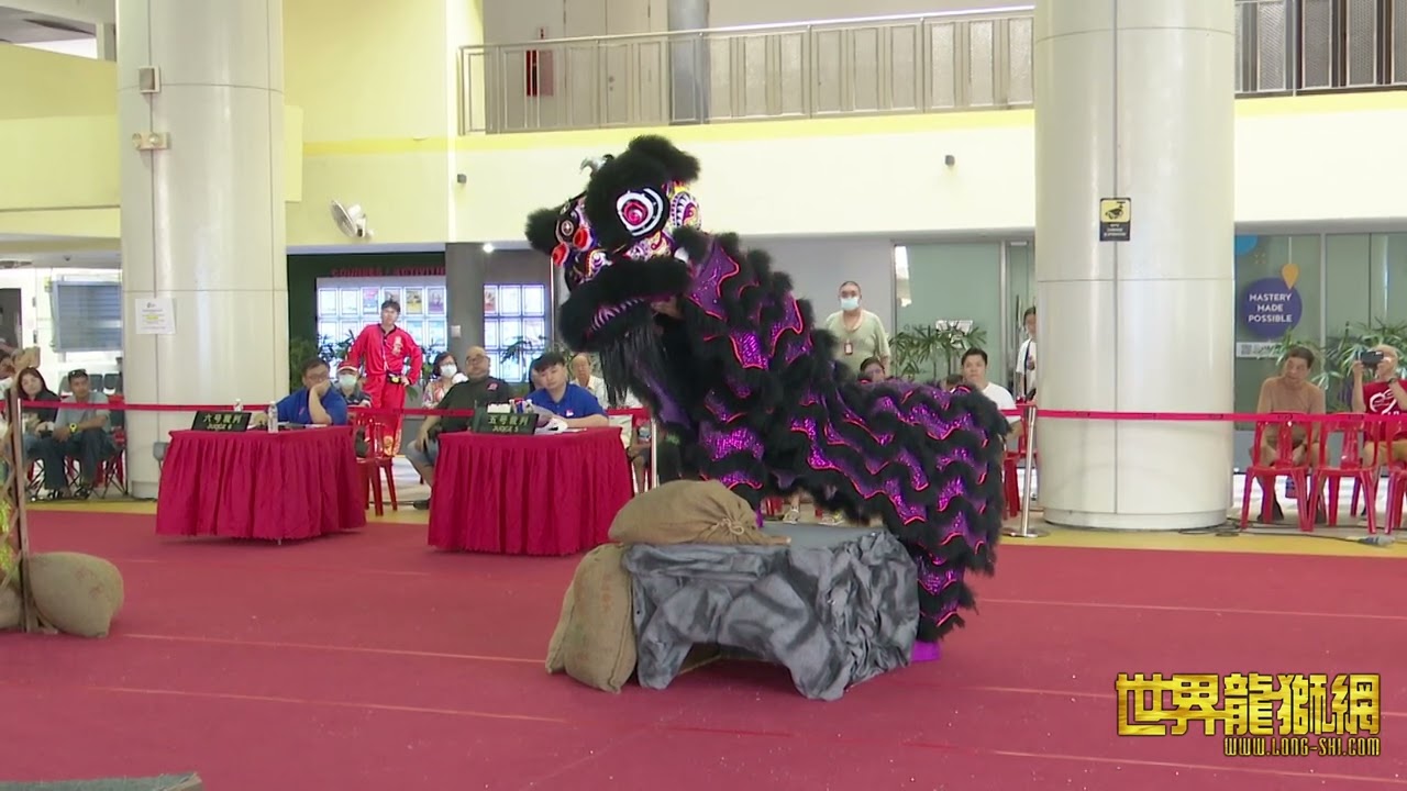 腾阳龙狮体育会B队 Teng Yang Dragon & Lion Dance Association Team B