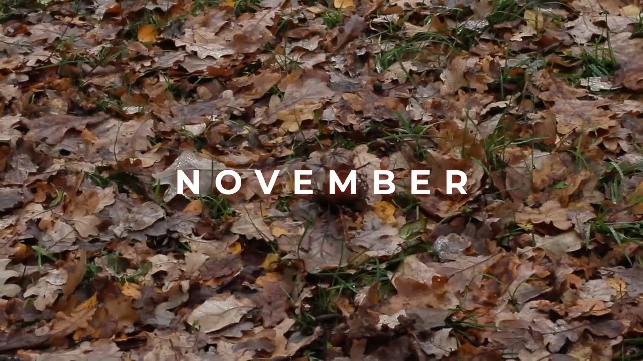 N O V E M B E R  2 0 2 4 (Everything will be fine...)