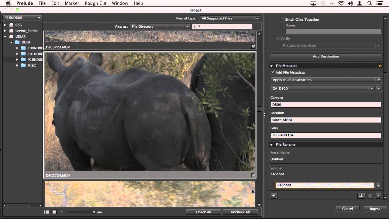 DSLR Editing Workflow in Adobe Premiere Pro CC, Part 2: From the Camera to Adobe Prelude CC