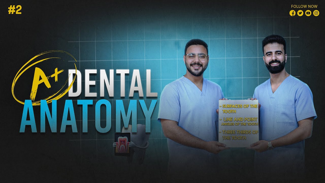 introduction 4 || surfaces - line and point angles - thirds || dental anatomy 