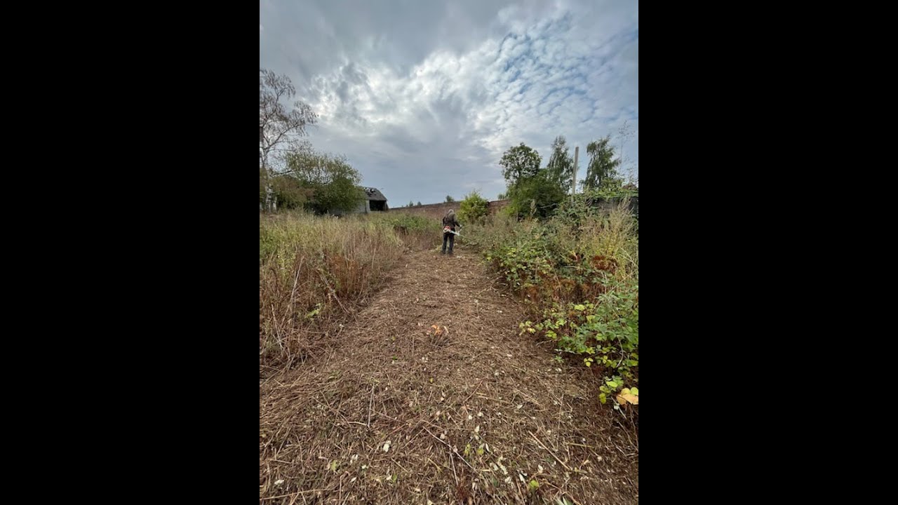 Débroussaillage difficile terrain friche Orties étang pâture basse cour roncier chardon ticket cesu