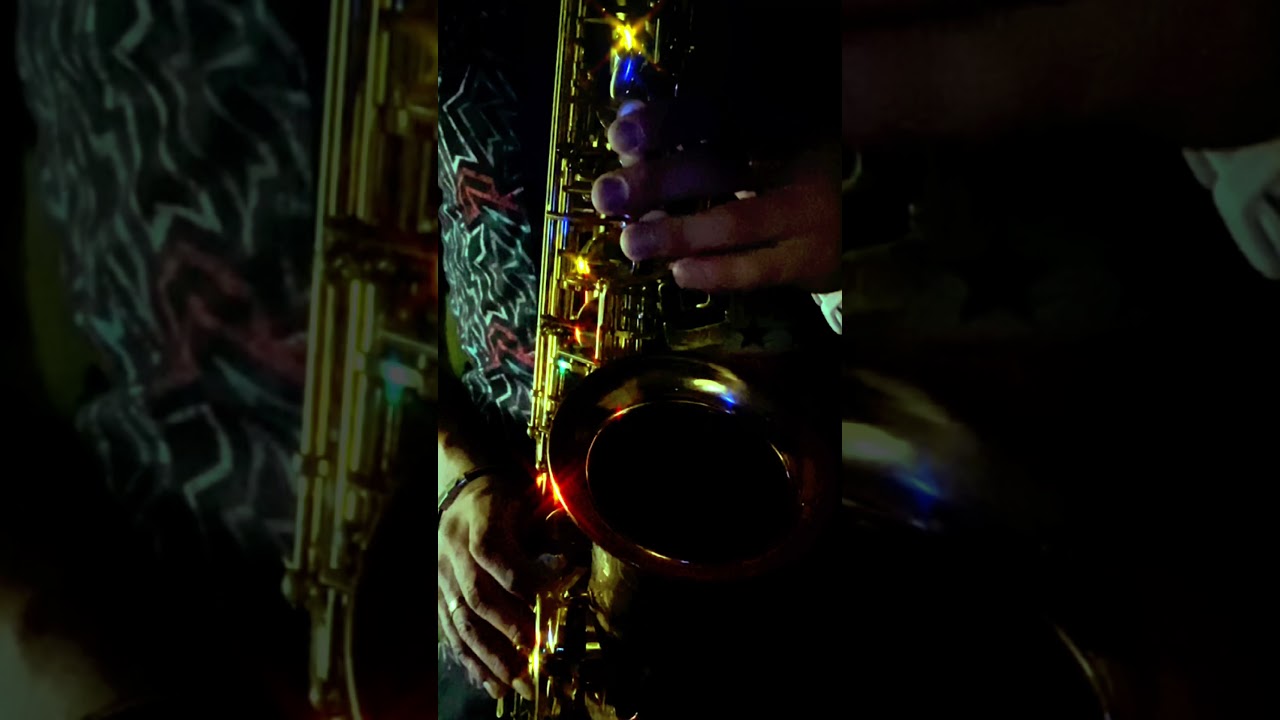 No Doubt - Don't Speak (SAX cover by OppositeMus)