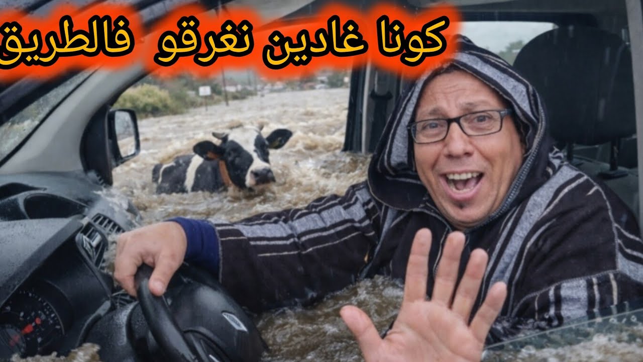 توصيل 1000 كتكوت  الوجهة خنيفرة معانات في الطريق 