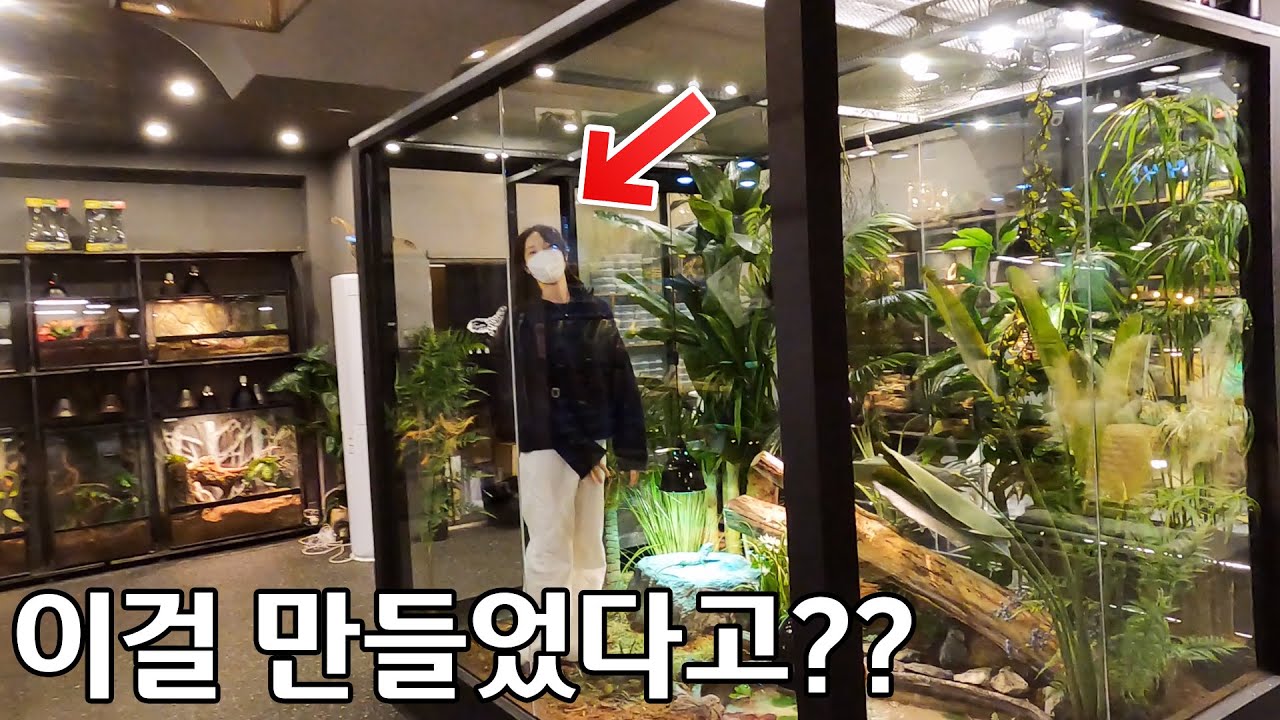 결국 사고친 여자사장님ㄷㄷ 이게 도마뱀 집이라고요??