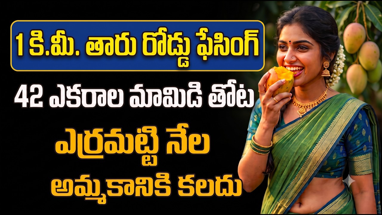 42-Acre Mango Orchard | AP Agri Lands For Sale | Tar Road Facing, Red Soil, Full Water Zone | Oil...