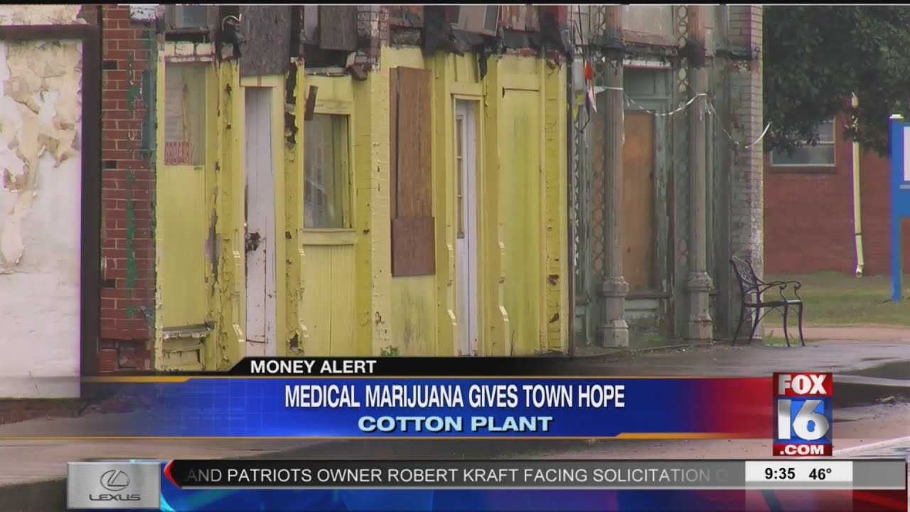 Medical marijuana grows hope in Cotton Plant