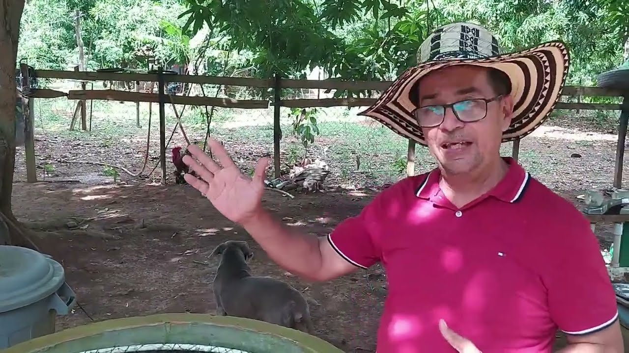 Cría de Peces sin cambio de agua (Comparaciones)