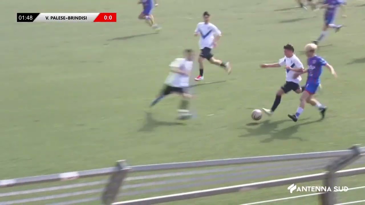 23 FEBBRAIO 2025 - UNDER 16 VIRTUS PALESE - BRINDISI 0-1