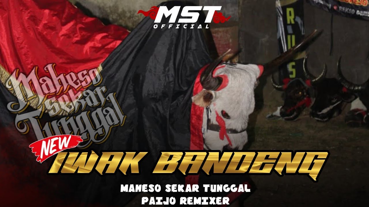 DJ BANTENGAN‼️`LONTONG TAHU` MST GROUP BY PAIJO REMIXER
