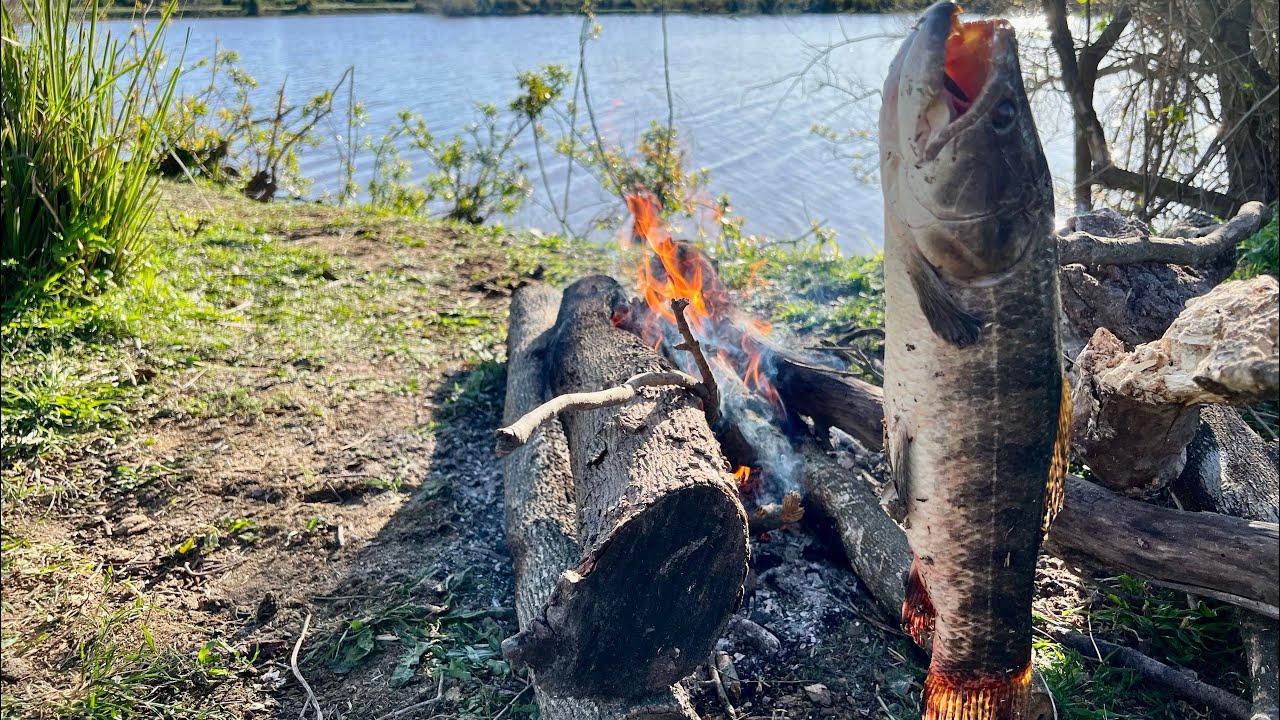 ¡TARARIRAS ENORMES! “está lleno” 2 Días de Pesca,Cocina y Exploración Ep1