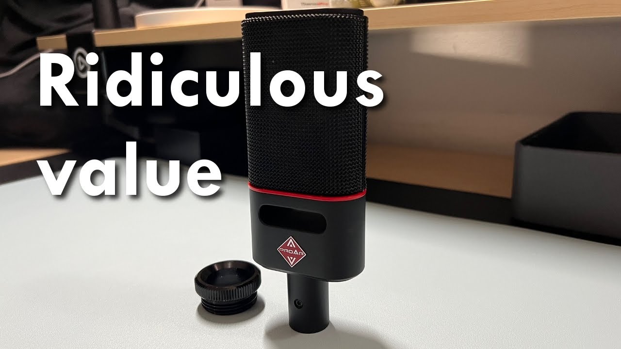 I bought this mic by accident and it's awesome - PROAR Fangdong