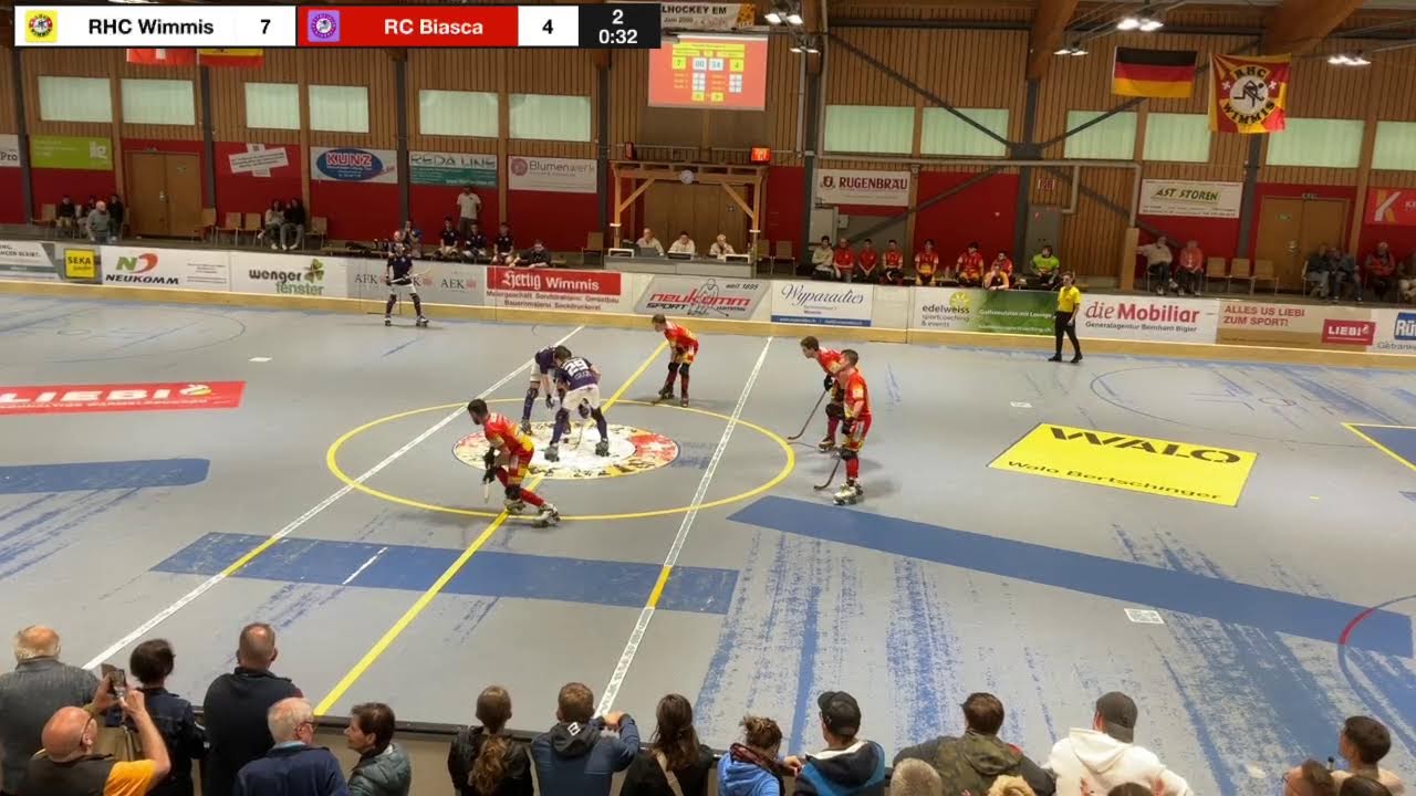 NLA PO 2. Teil Wimmis - Biasca