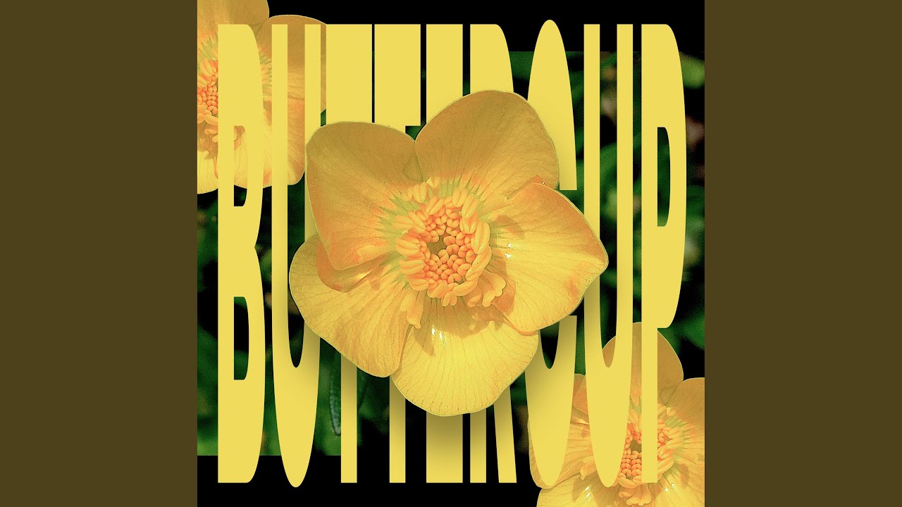 Buttercup