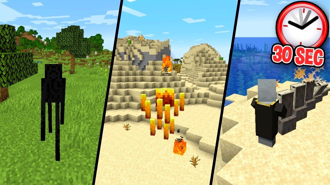 MINECRAFT, MAAR IEDERE 30 SECONDEN VERANDER JE VAN MOB...
