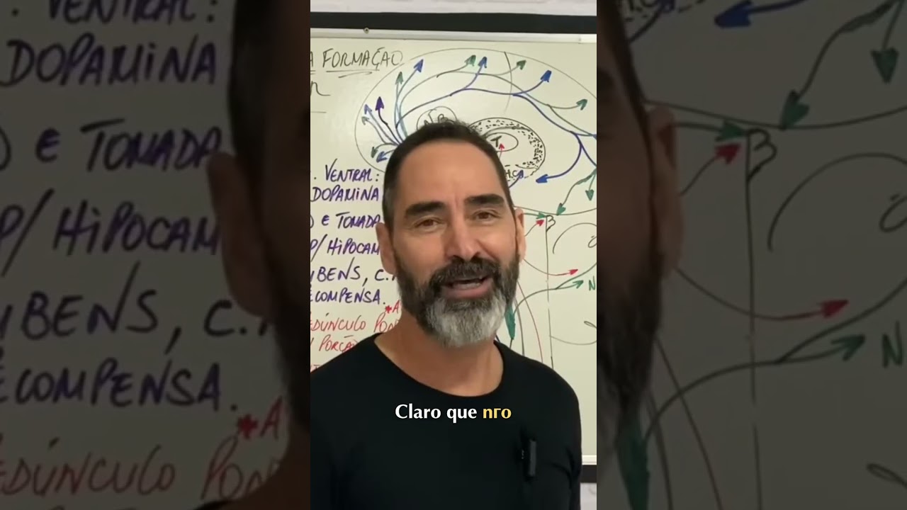 Amígdala Cerebral: Função, Emoções e Núcleo Accumbens! 