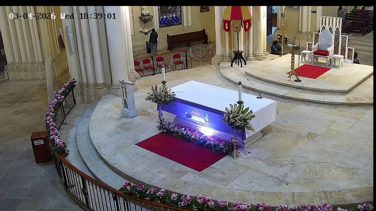 Transmisión Eucaristía Basílica de Lourdes   2024