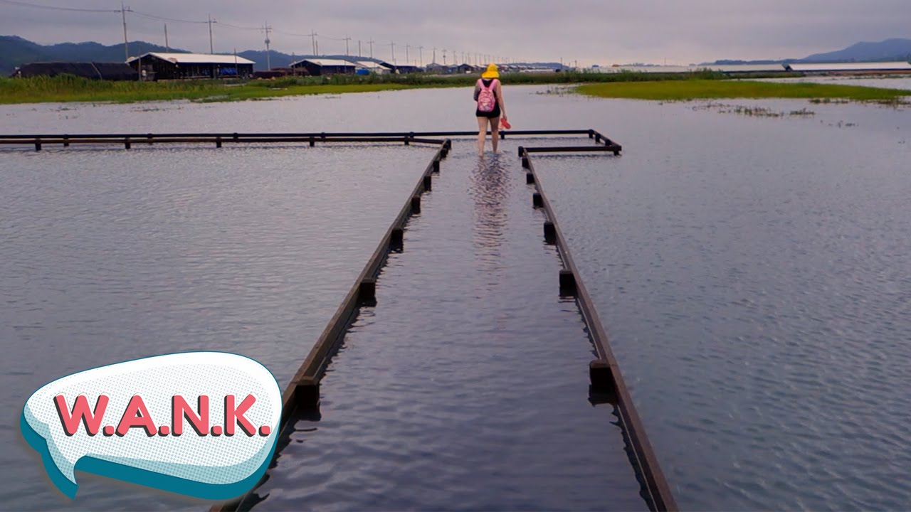 The Eatyourkimchi Road Trip: Slow City, South Korea