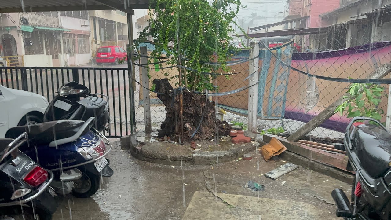 Barish ke baad ka weather || Gunjanyomesh ||