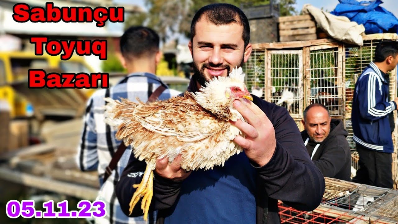 Sabunçu Toyuq Bazarı 5 noyabr 2023 @xəzərbagirov7