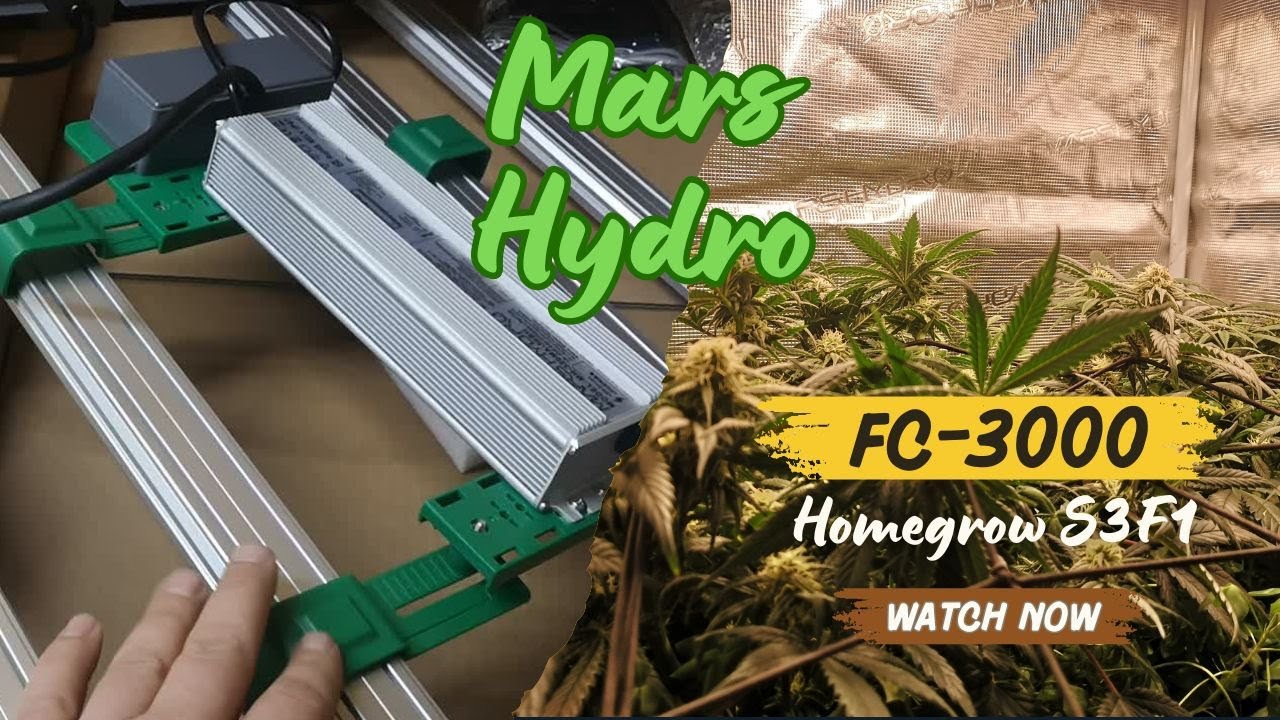 Indoor Grow S3E1 - Mars Hydro FC-3000 und Hay-Z werden eingerichtet 80x80x160cm