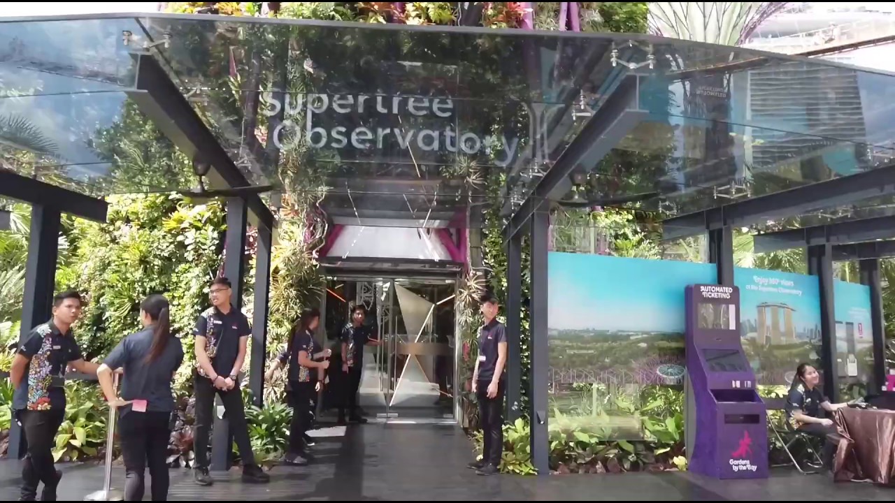 Walkthough of Supertree Observatory