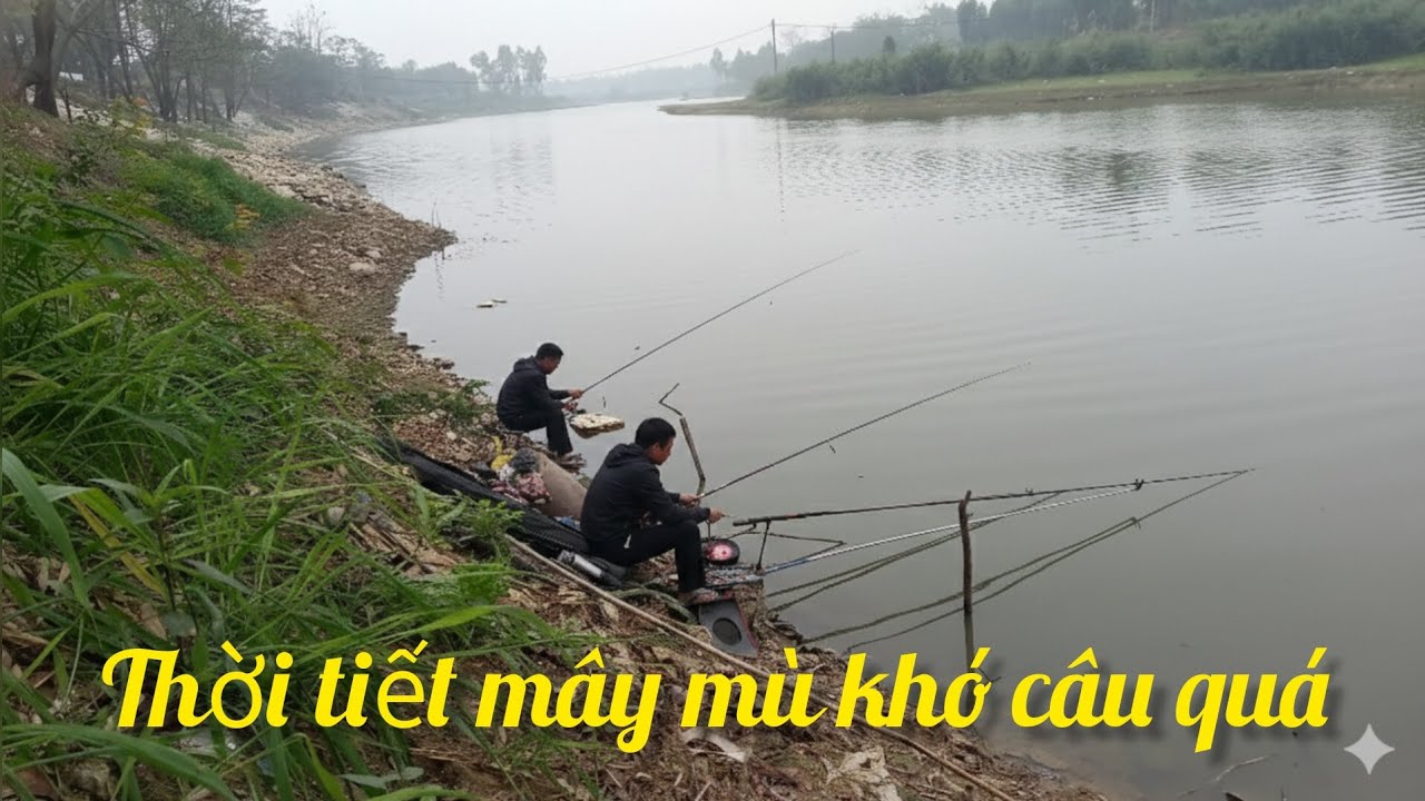 Đi câu tự nhiên thời tiết mây mù khó câu quá