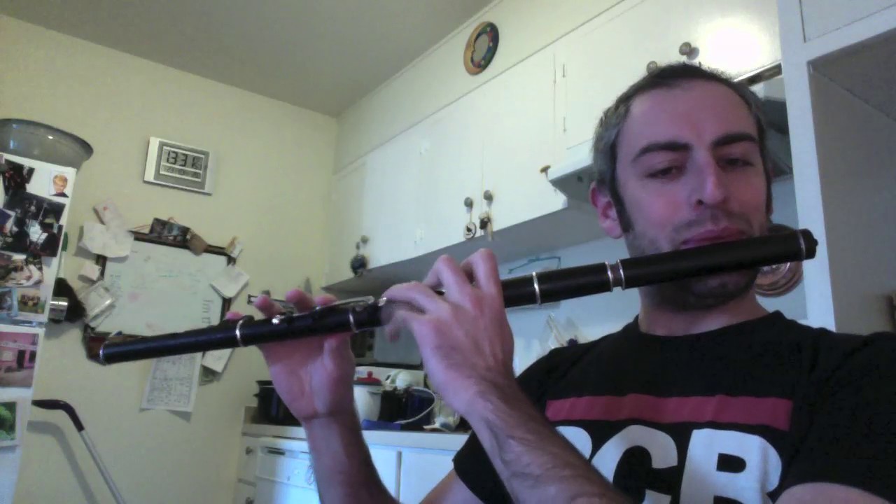 The Glass of Beer - Irish Flute - slow/fast