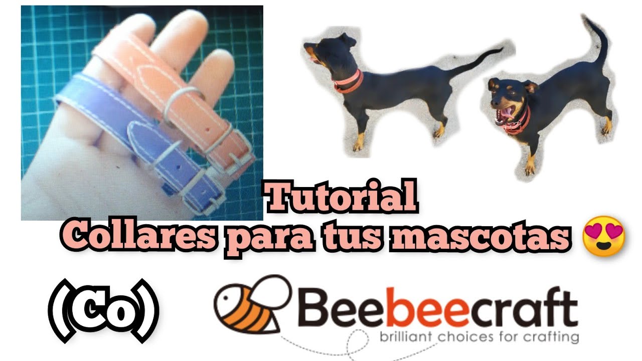 DIY haz tu collar para tu mascota | cuero sintetico @beebeecraft