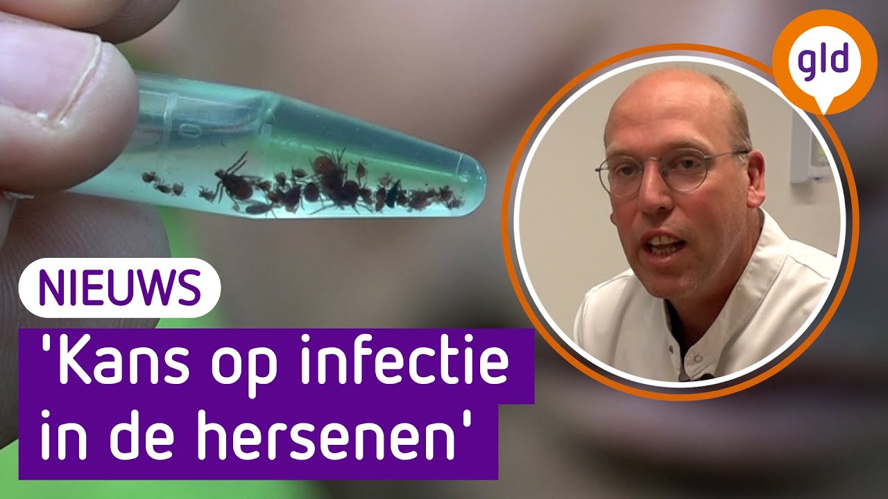 TEKEN kunnen meer veroorzaken dan de ZIEKTE VAN LYME