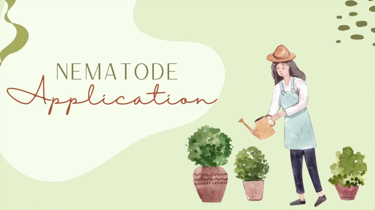 Nematode Application