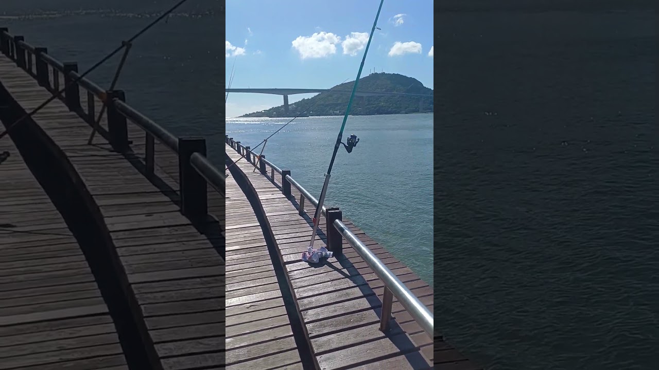 Onde Pescar em Vit&oacute;ria-ES! Pescaria se Praia #fishing #pesca #shorts