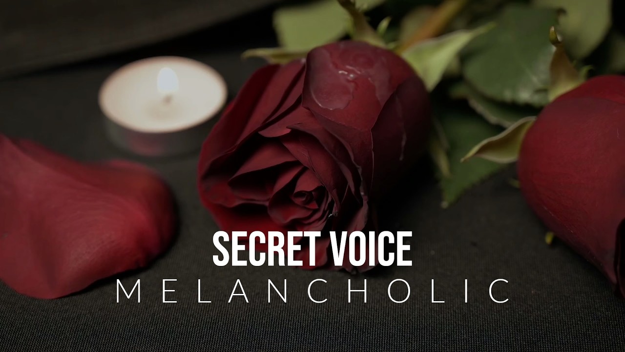 Secret Voice · Introspective melancholic slow track · No AI Music