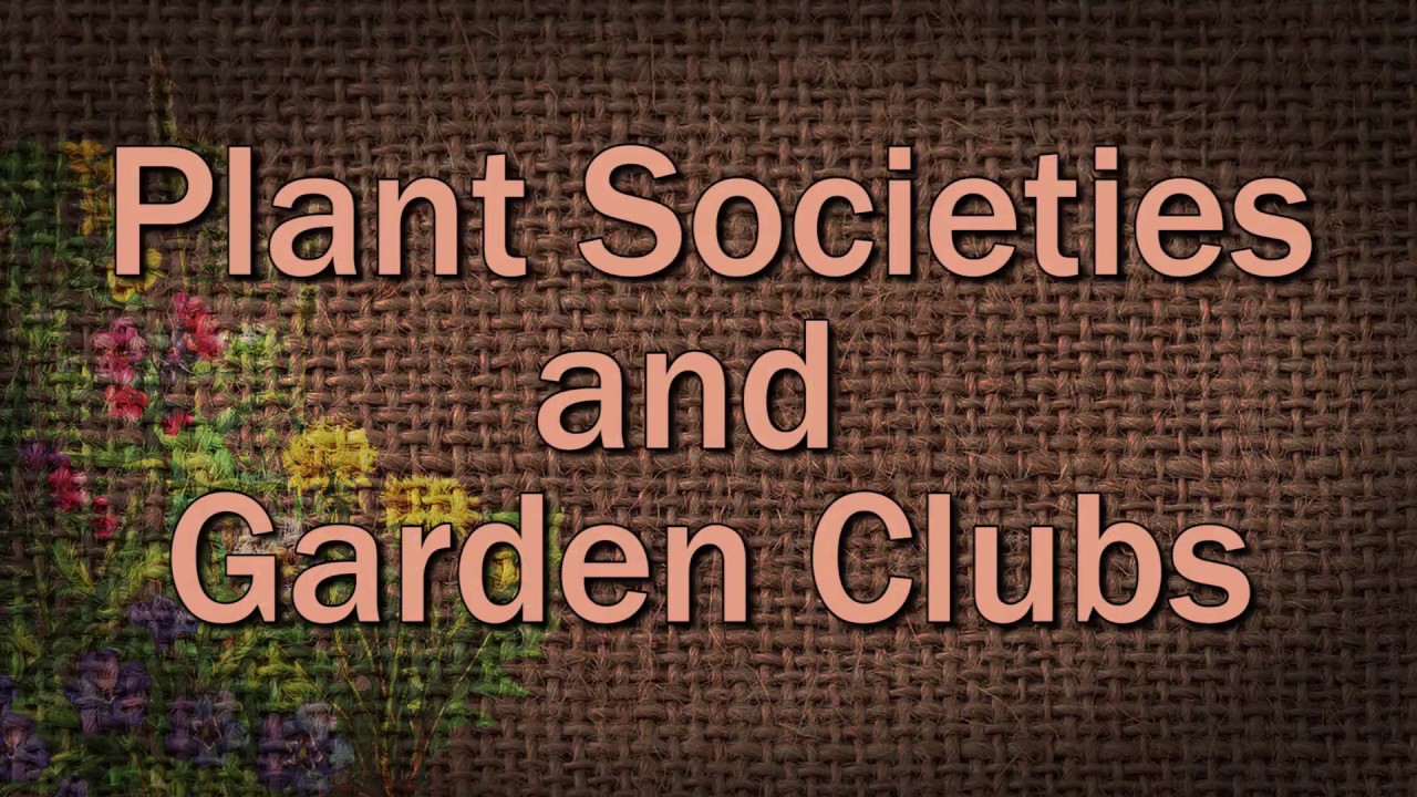 Plant Societies and Garden Clubs – Family Plot