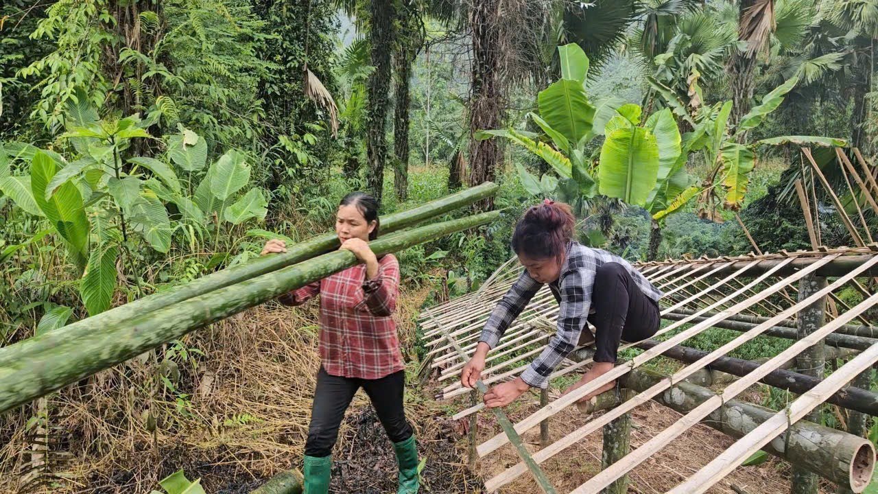 Full video: 120 days to build a bamboo house. Let's see the process from start to finish