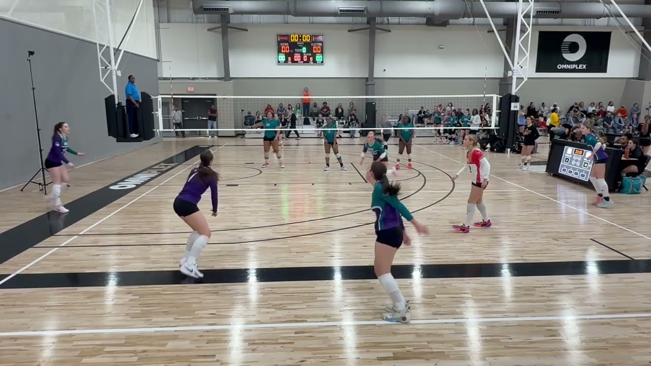 Phoebe Ashbrook #14, purple jersey, OH/DS, c/o 2028 
