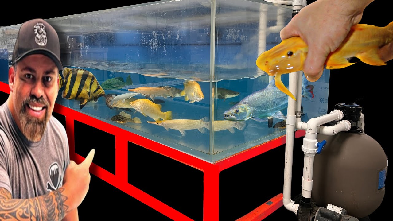 ALL THE FISH WE ARE KEEPING FOR THE EXHIBIT! WHAT SHOULD WE ADD?
