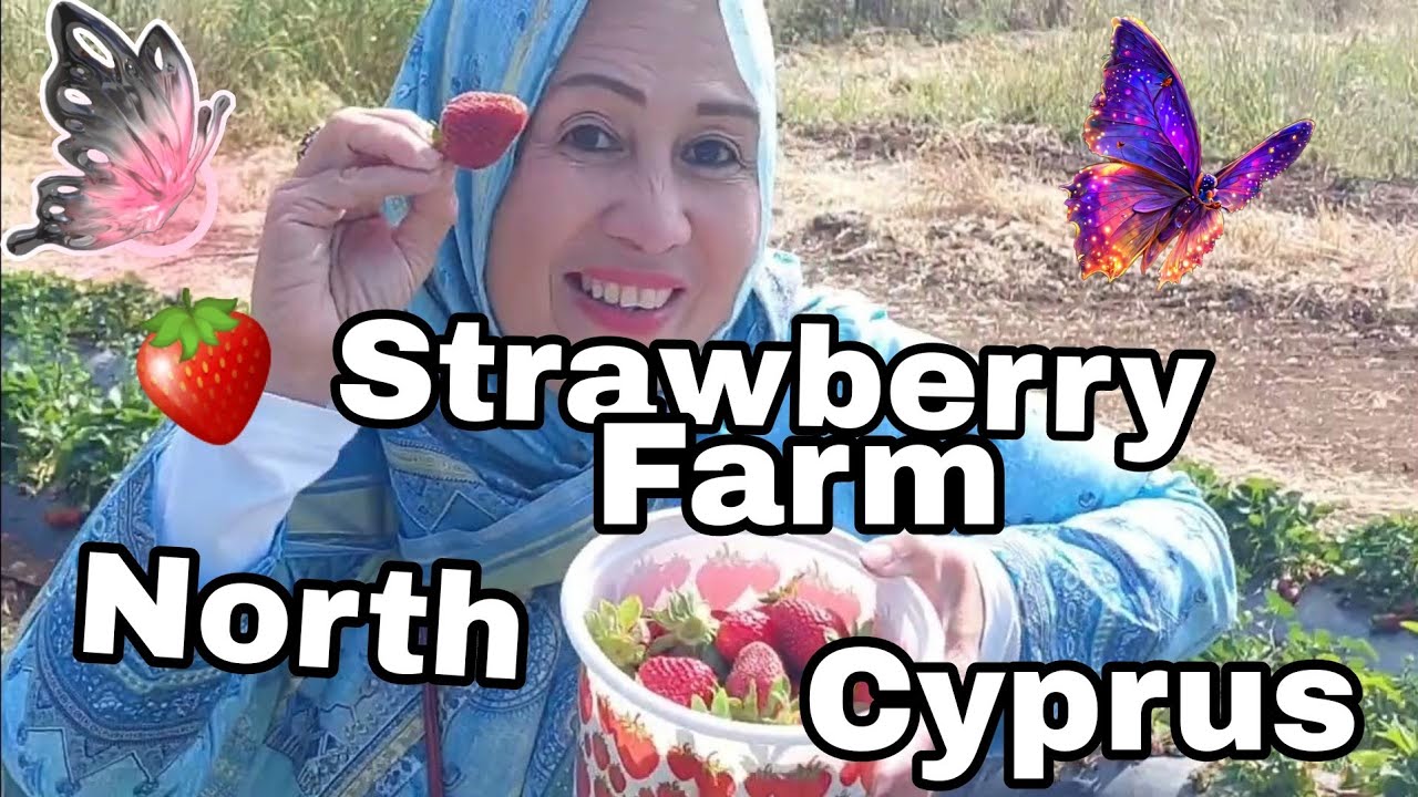STRAWBERRY FARM IN NORTH CYPRUS EID DAY 1#ramadan2023 #ramadan #islam #ramadanmubarak #strawberry